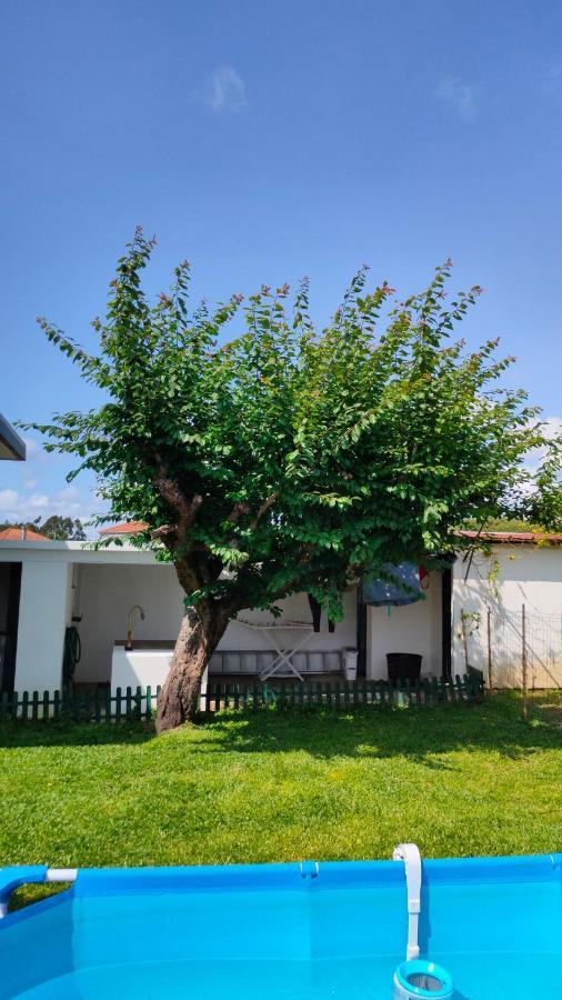 Villa House With Pool And Garden In Esmoriz Near Porto Exterior foto